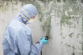 Best Mold Remediation for Healthcare Facilities  in Irwin, SC